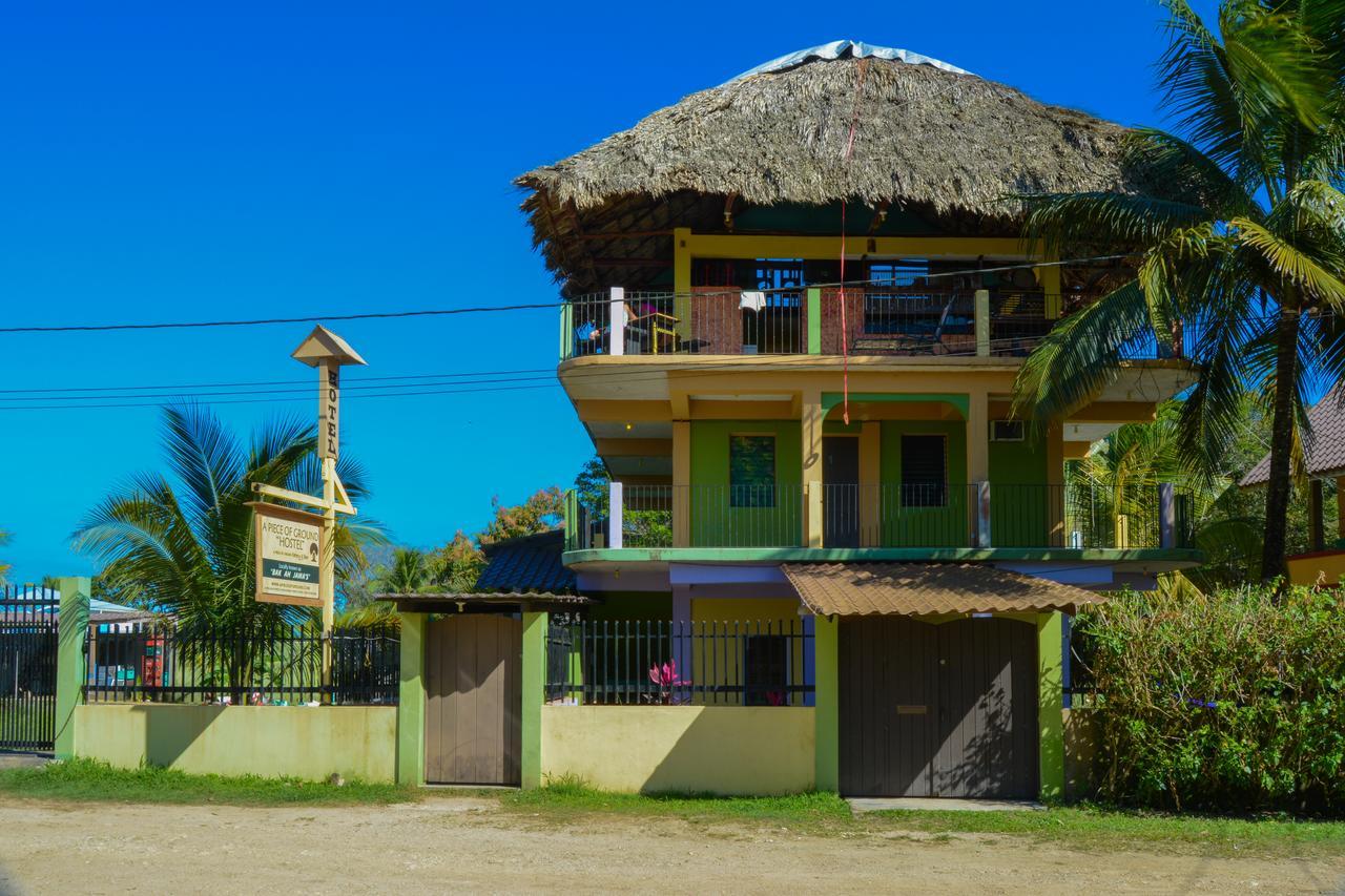 A Piece of Ground Hostel Punta Gorda Zewnętrze zdjęcie