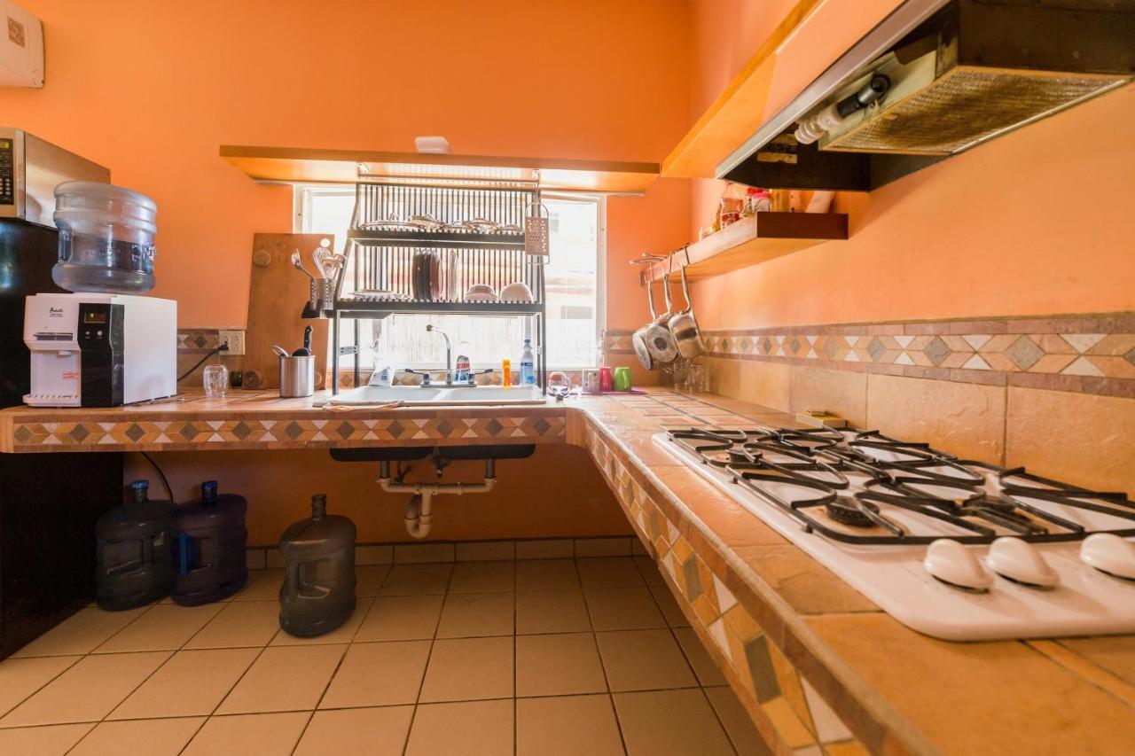A Piece of Ground Hostel Punta Gorda Zewnętrze zdjęcie