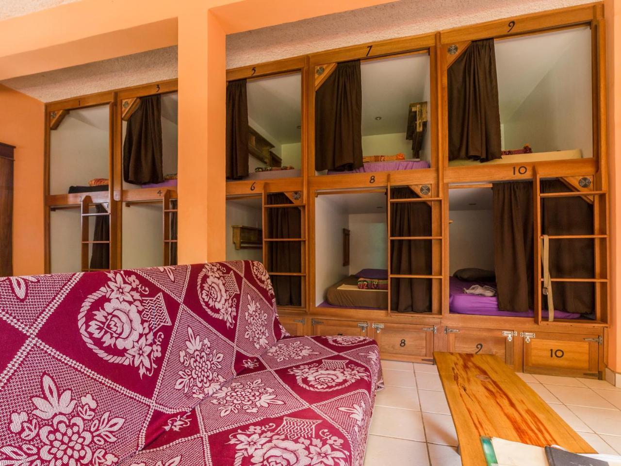 A Piece of Ground Hostel Punta Gorda Zewnętrze zdjęcie